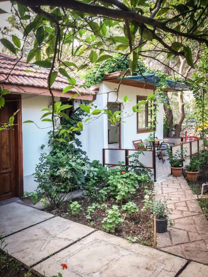 Arya Holiday Houses Cirali Exterior foto