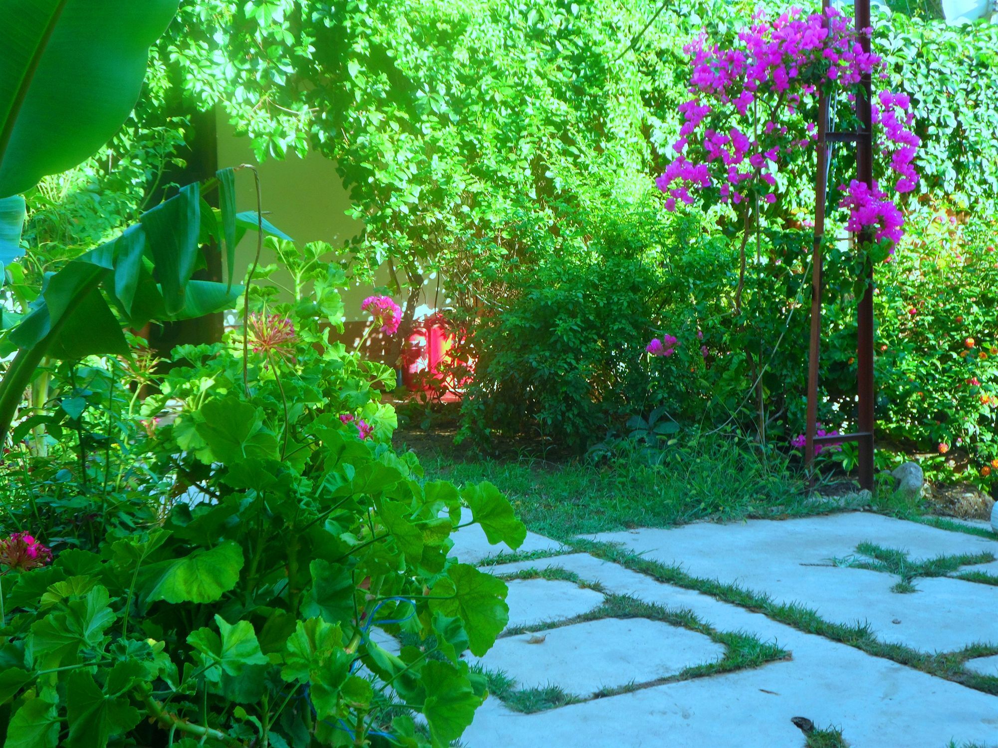 Arya Holiday Houses Cirali Exterior foto