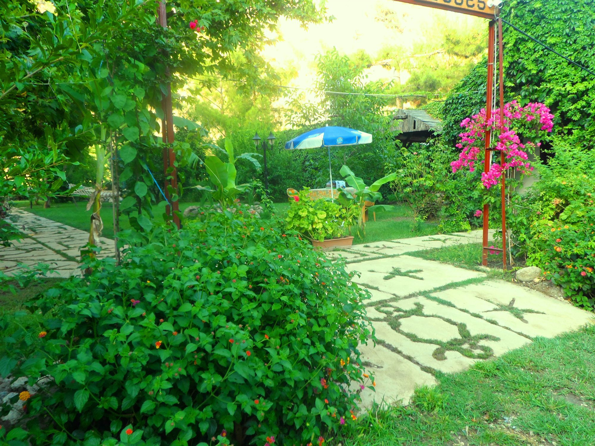 Arya Holiday Houses Cirali Exterior foto